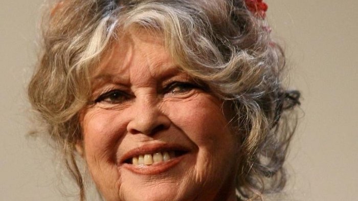 Brigitte Bardot afirmó que el COVID-19 es bueno: 