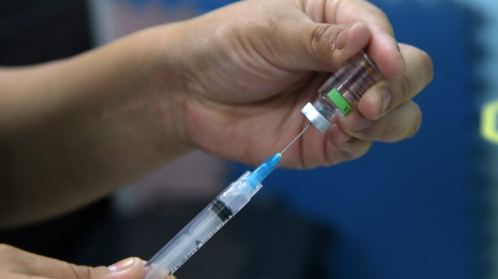 Quiénes son considerados como 