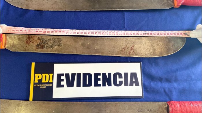 Hermana de Francisco Martínez entregó sus sables para malabarismo a la PDI