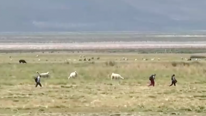 Delgado llega este martes a Colchane: Continúan captando a migrantes que ingresan de forma irregular al país