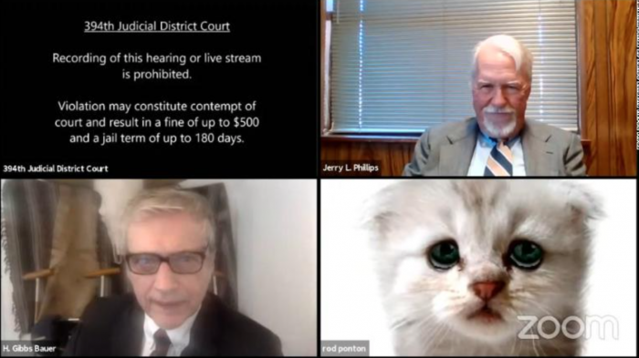 No fue una broma: Abogado aparece con filtro de gato en medio de audiencia virtual por Zoom