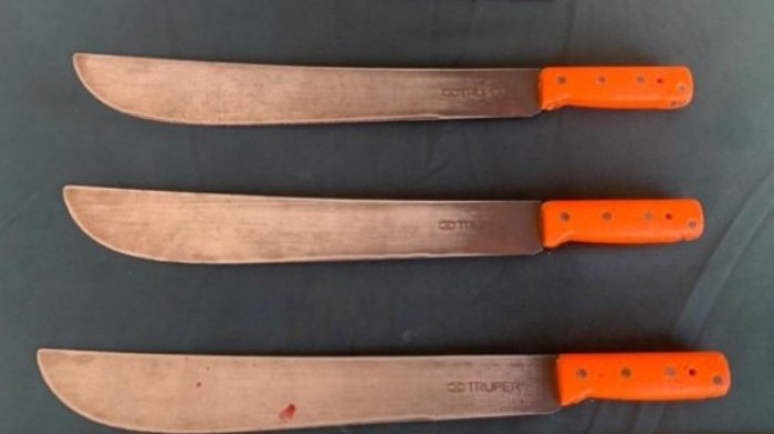 Malabarista fue detenido en Osorno por quejas de automovilistas: Usaba tres machetes