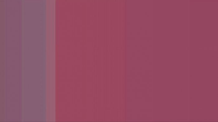 ¿Cuántos colores ves? La ilusión óptica que se hizo viral y divide en redes sociales