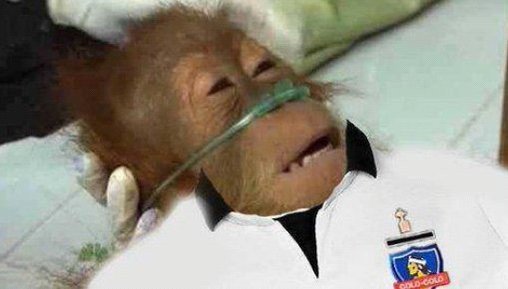 Los memes que dejó el empate de Colo Colo que los obliga a jugar el duelo por la permanencia
