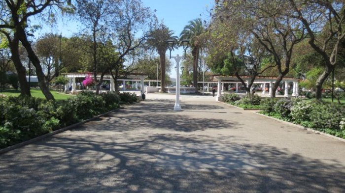 Todas las candidaturas a la Convención Constitucional que van por el distrito 14