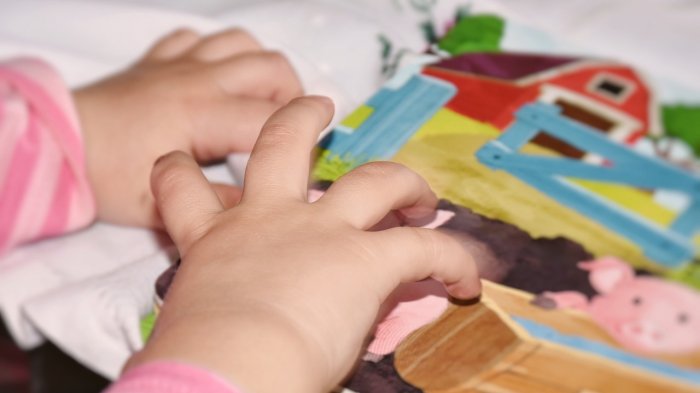 Este viernes finaliza el plazo: Conoce cómo postular a salas cuna y jardines infantiles de Integra