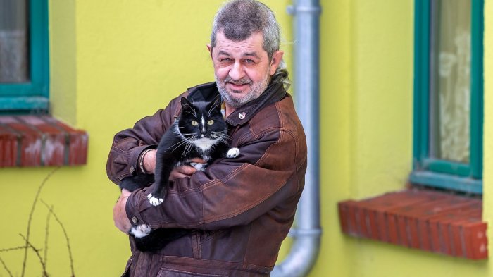 Prohíben a un gato aspirar a la alcaldía de una ciudad: Autoridades le exigen tener 18 años cumplidos