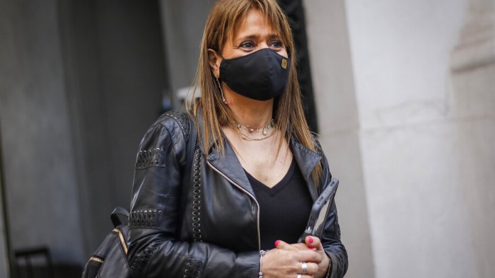 A Van Rysselberghe le propusieron representar a Ñuble en el Senado: 