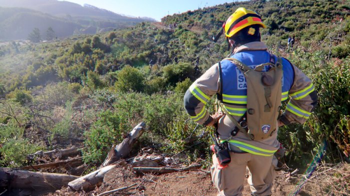 Búsqueda de Tomás: Imágenes tomadas por avión FACh podrían estar listas este lunes