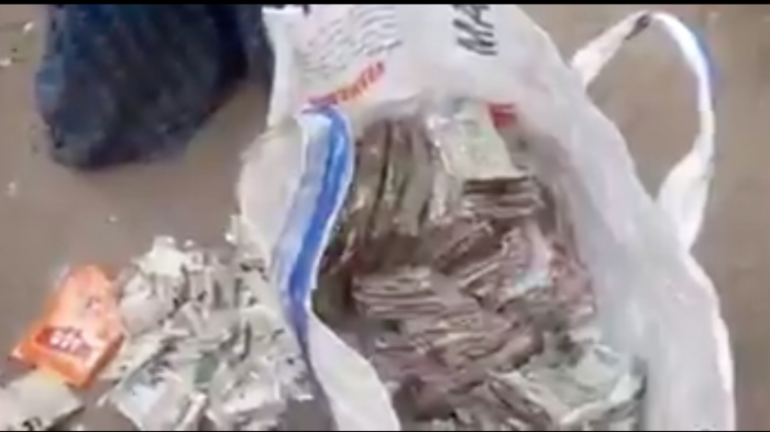 Granjero ahorró toda su vida para comprarse una casa hasta que el dinero fue destruido por termitas