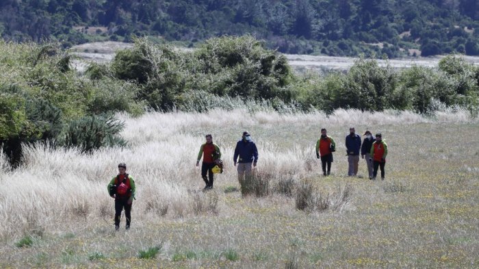 Intendente descarta búsqueda de puma en investigación por Tomás: 