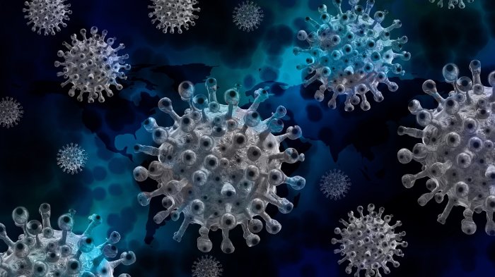 Mutación y variante de coronavirus: ¿Qué significa cada concepto y por qué genera confusión?