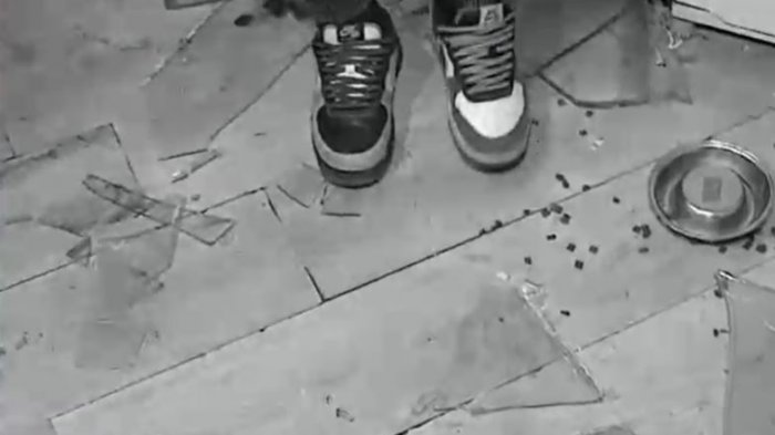 Carro lanza aguas rompió ventanal de una casa en Recoleta y vidrios hirieron a joven de 18 años