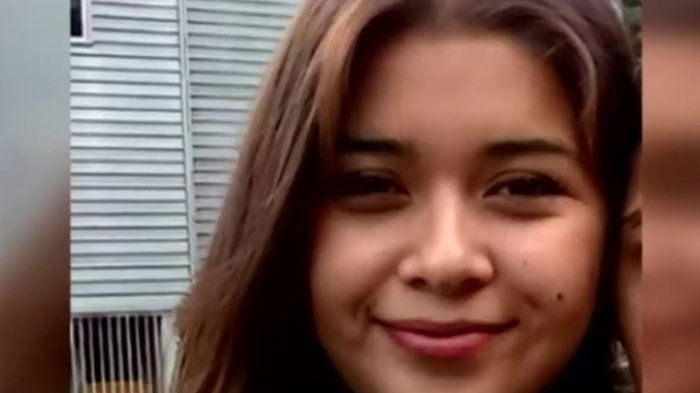 Detienen a hombre que habría confesado asesinato de Damaris Meliñir, joven desaparecida en Nueva Imperial