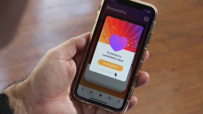 Votamos Todos: La aplicación que permite hacer un 