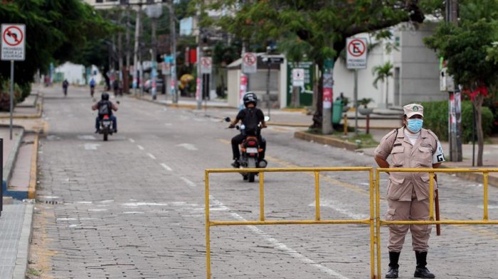 Bolivia: Mujer quedó en prisión preventiva por intentar enviar crías de aves y tortugas a Chile