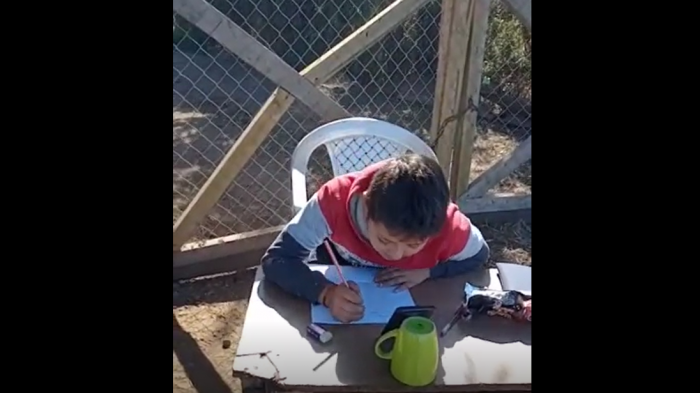 Niño sale de su casa para captar Internet y tener clases online: Estudia en pleno camino de tierra y desde el celular