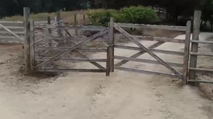 Nuevamente cierran acceso a playa en Pichilemu: Dueño de predio habilitó camino intransitable