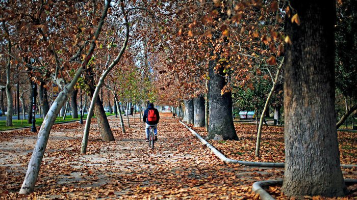 Cambio de estación: ¿Cuándo y a qué hora se producirá el equinoccio de otoño 2021?
