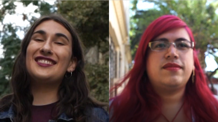 Emergentes, capítulo 2 | Candidatas trans a constituyentes: Las voces de la resistencia