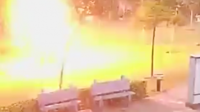 Se refugiaron de la tormenta bajo un árbol y fueron alcanzados por un rayo: Uno de ellos murió