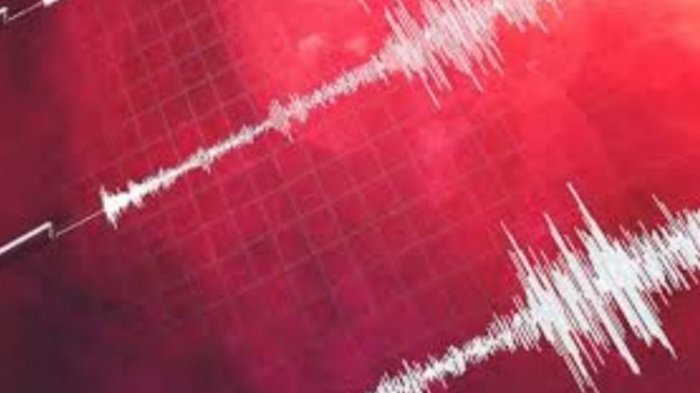 Sismo en Rusia: SHOA descarta riesgo de tsunami en costas chilenas