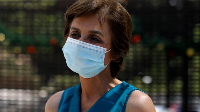 Subsecretaria Daza dice que peak de contagios diarios de COVID-19 se debe a 