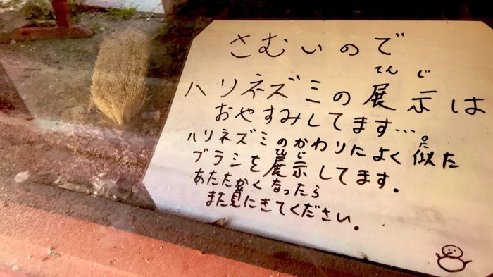 Zoológico japonés reemplazó a un erizo de tierra con un cepillo 