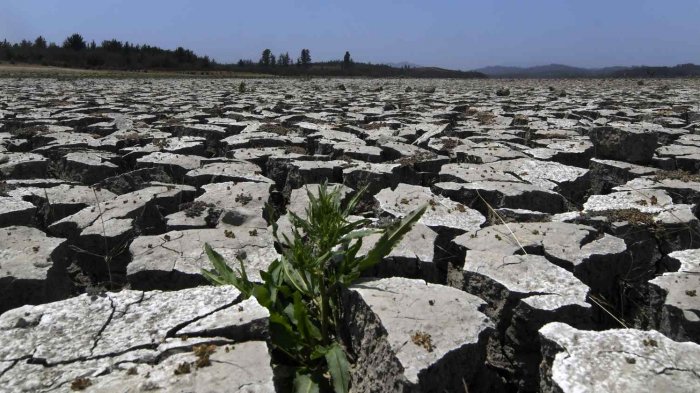 En marco del Día Mundial del Agua, ¿Qué medidas se deben implementar para afrontar la crisis hídrica en Chile?