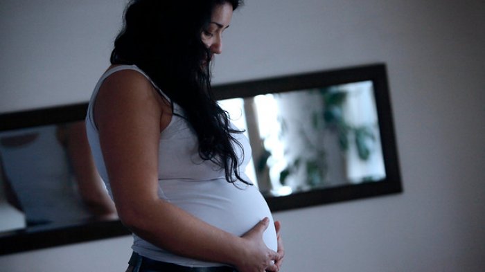 Nuevo estudio: Vacunas Pfizer y Moderna protegen a embarazas y lactantes