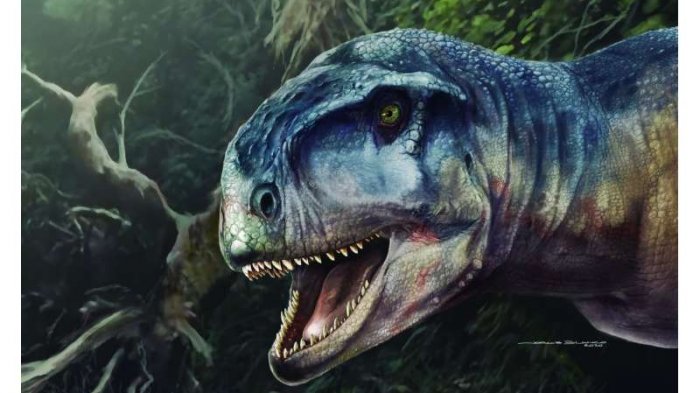 Descubren un nuevo T-Rex que dominó la Patagonia hace 80 millones de años