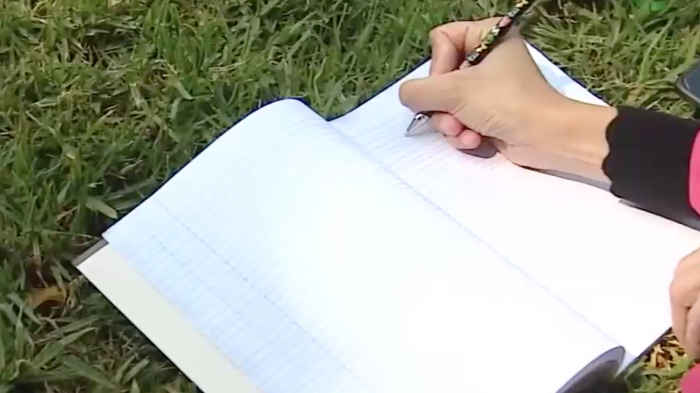 Buscan tutores para enseñar a leer a niños y niñas de 1° y 2° básico: Conoce aquí cómo sumarte