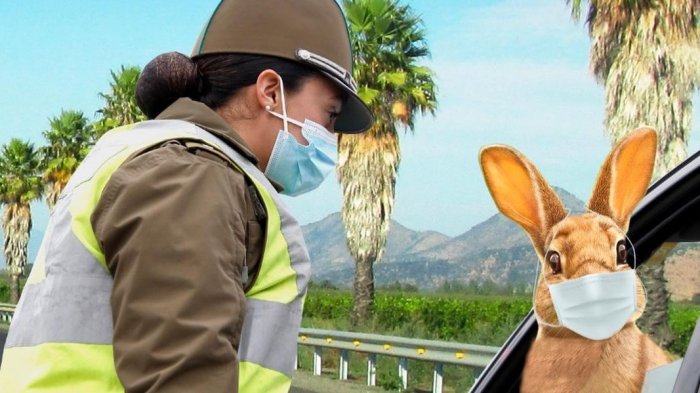 Carabineros nuevamente autorizó 