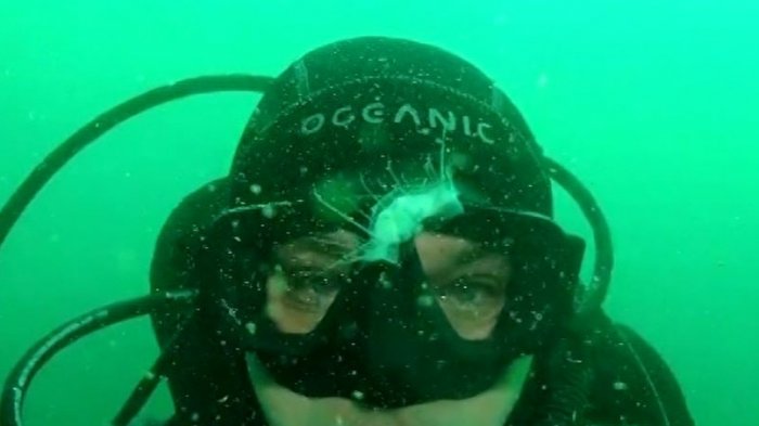 Curiosa aparición de medusas chinas en el sur de Chile: Calentamiento global habría ocasionado este fenómeno