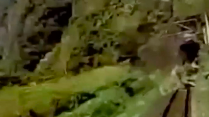 Revelan impactante registro del choque de tren en Taiwán que dejó 51 muertos