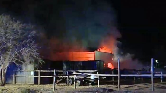 Incendio afectó a caballeriza en Colina: Murieron seis caballos