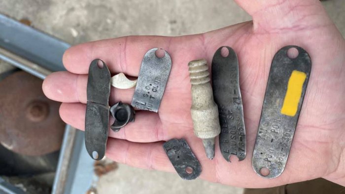 Encuentran cinco placas de perro y otros objetos al interior del estómago de un caimán