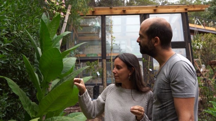 Casa sustentable, una vida en armonía con el medioambiente en el séptimo capítulo de Emergentes