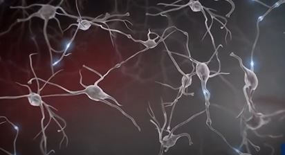 Seguridad y privacidad: ¿Por qué existe un proyecto de neuroderechos en Chile?