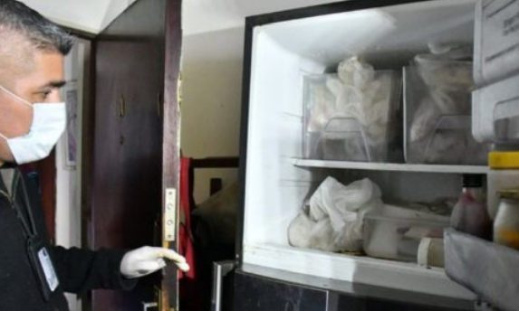 Encuentran 7 gatos muertos en congelador de un departamento: Habían otros 17 en malas condiciones de salud