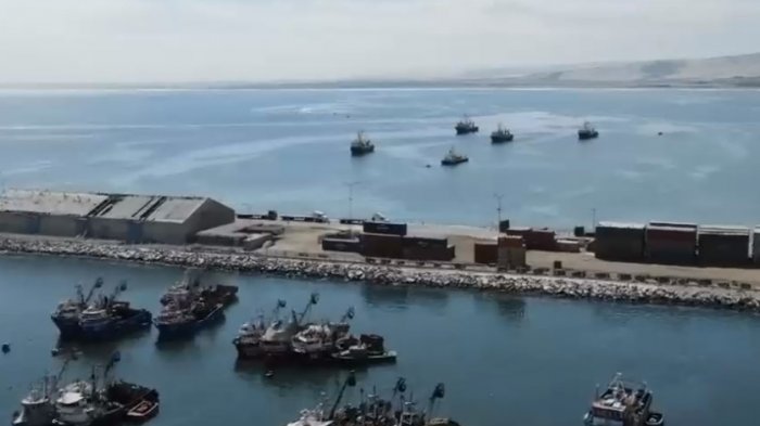 Los dueños del mar: Historia de corrupción y la improbable batalla que está dando (y ganando) un puñado de pescadores