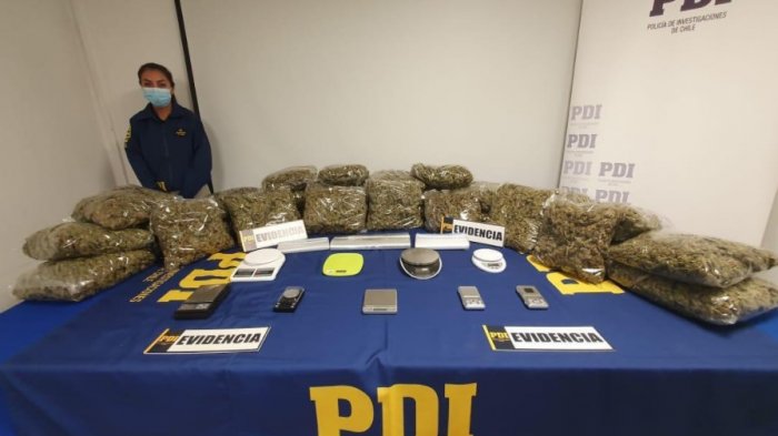 Incautan 35 kilos de droga en departamento de La Florida: Serían proveedores de otros microtraficantes