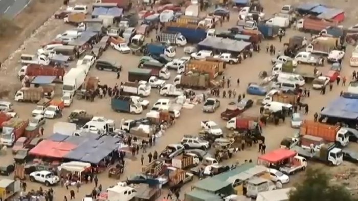 Vendían caballos y ovejas: Feria ilegal funcionaba sin permisos en Pedro Aguirre Cerda