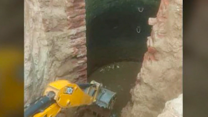 Bebé elefante fue rescatado después de caer en un pozo de 9 metros de profundidad