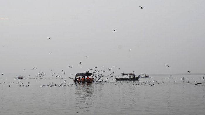 71 cadáveres aparecieron a orillas del Río Ganges en India