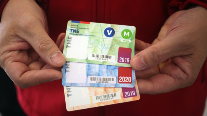 Queda poco para poder revalidar la TNE: Revisa aquí cómo hacerlo