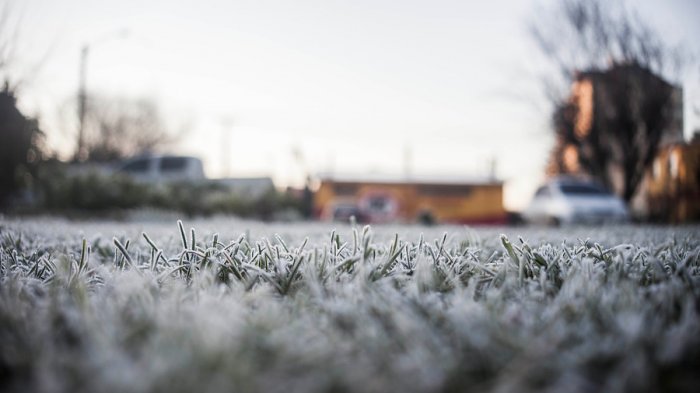 ¡Hasta 3° bajo cero! Emiten alerta agrometeorológica por heladas en los valles centrales