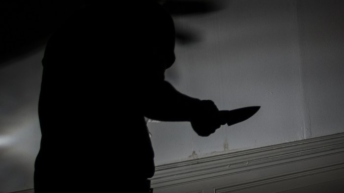 Mujer murió tras ser apuñalada por su ex y la nueva pareja de él frente a su hijo