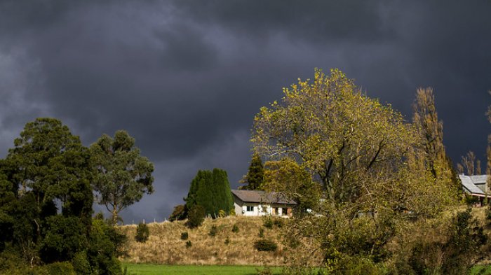 Experto inmobiliario: “Todo indica que construir una vivienda desde cero es mejor que comprar una nueva”