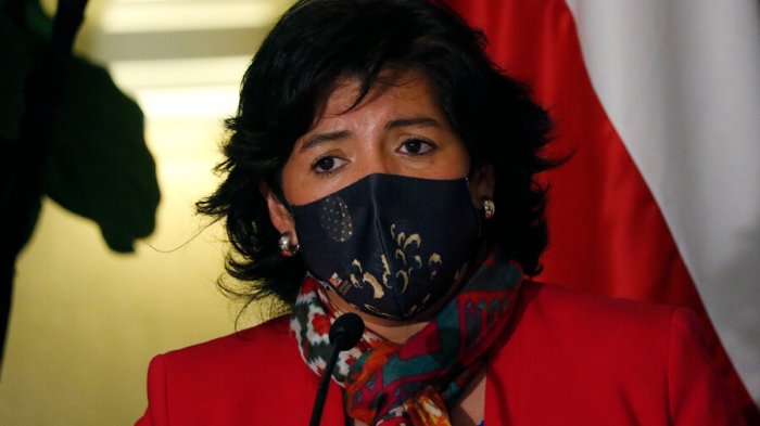 Provoste califica de “débiles” anuncios del gobierno: “No entiende el país que le ha tocado gobernar”